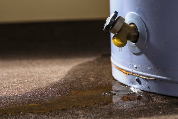 Best Flood damage cleanup  in Smithsburg, MD