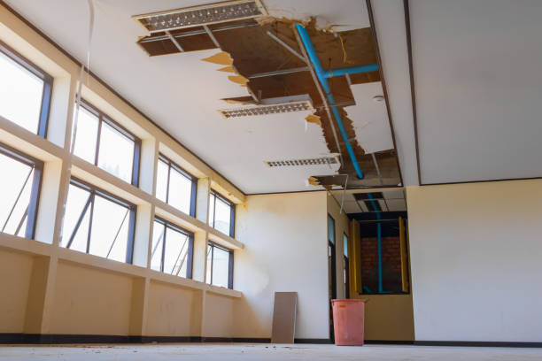 Best Water damage restoration cost  in Smithsburg, MD