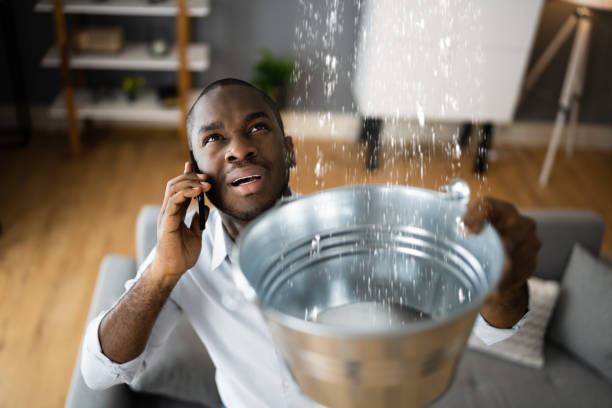 Best Flood restoration services  in Smithsburg, MD