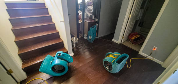 Best Basement water damage restoration  in Smithsburg, MD