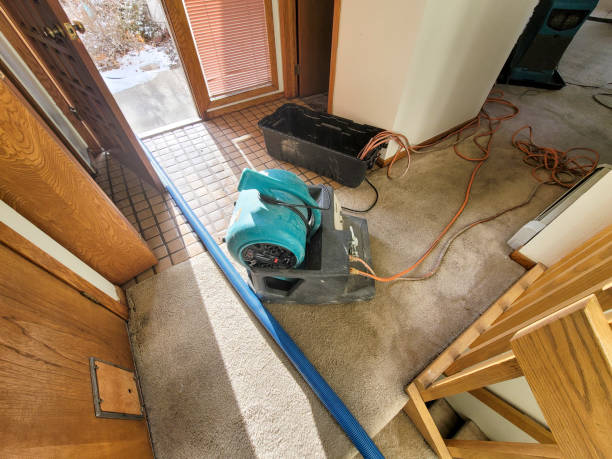 Best Flood restoration services  in Smithsburg, MD