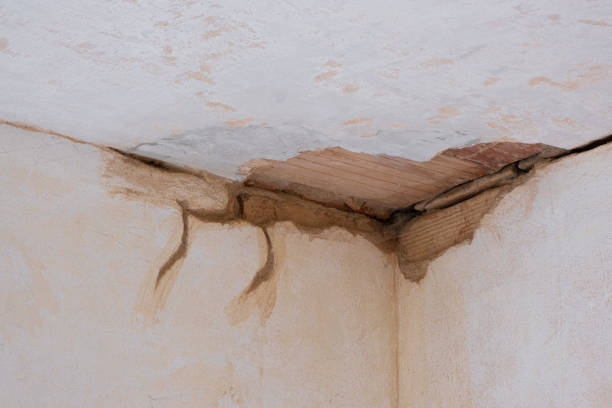 Carpet water damage restoration in Smithsburg, MD
