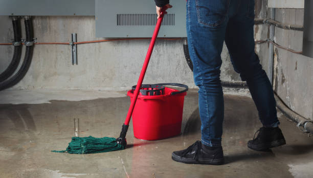 Best 24-hour water damage restoration  in Smithsburg, MD