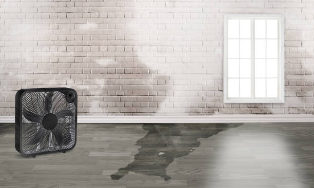 Best Sewage cleanup and water damage restoration  in Smithsburg, MD