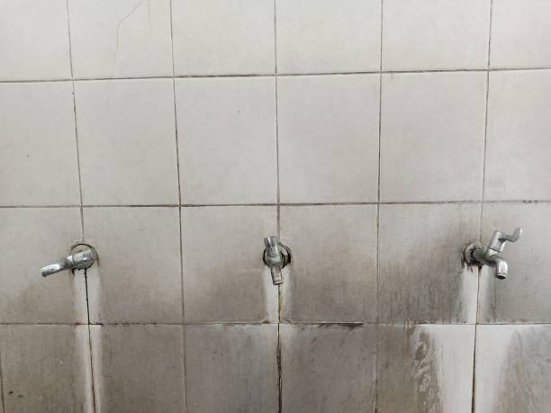 Best Water damage mitigation services  in Smithsburg, MD