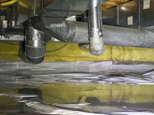 Best Water damage restoration process  in Smithsburg, MD