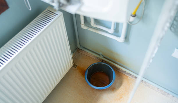 Best Carpet water damage restoration  in Smithsburg, MD