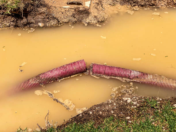 Best Professional water damage repair  in Smithsburg, MD