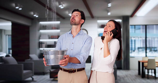 Best Water damage restoration experts  in Smithsburg, MD