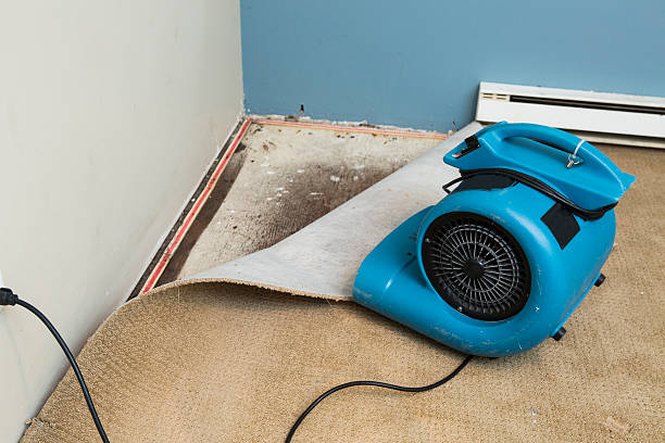 Water damage restoration experts in Smithsburg, MD